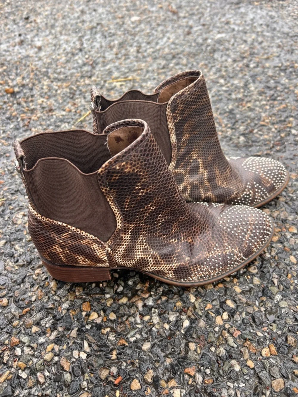 Donald J. Pliner Brown Snake-Print Studded Leather Ankle Booties